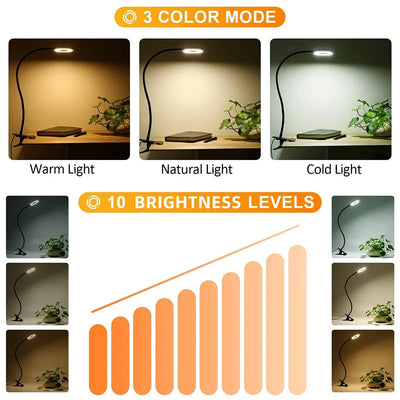 48 LEDs Desk Lamp Clip USB Book Light Bedside 360° Flexible Eye Protection Gooseneck Reading Light Brightness Adjustable 3 Leve